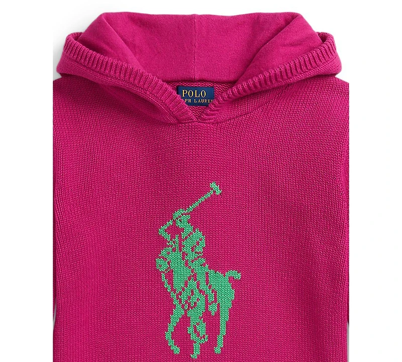 Polo Ralph Lauren Girls 7-16 Big Pony Hooded Sweatshirt