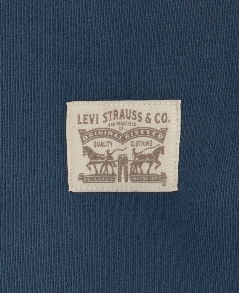 Levi's Boys Toddler 2T-4T 2 Piece Patch Long Sleeves Hoodie and Joggers Set