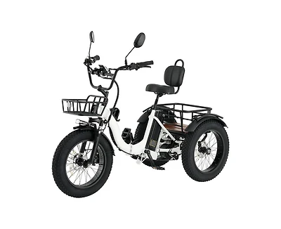 Mikolo Electric Tricycle for Adults, 20"x4" Folding Fat Tire Electric Trike, 750W(Peak 1350W) Motor Etrike, 48V13Ah Battery, 3-Wheel Electri