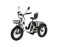 Mikolo Electric Tricycle for Adults, 20"x4" Folding Fat Tire Electric Trike, 750W(Peak 1350W) Motor Etrike, 48V13Ah Battery, 3-Wheel Electri