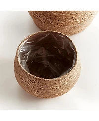 Seagrass Round Tapered Baskets, Set of 3 - Natural Color