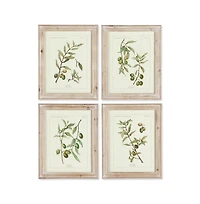 Framed Olive Leaf Botanical Prints Set of 4