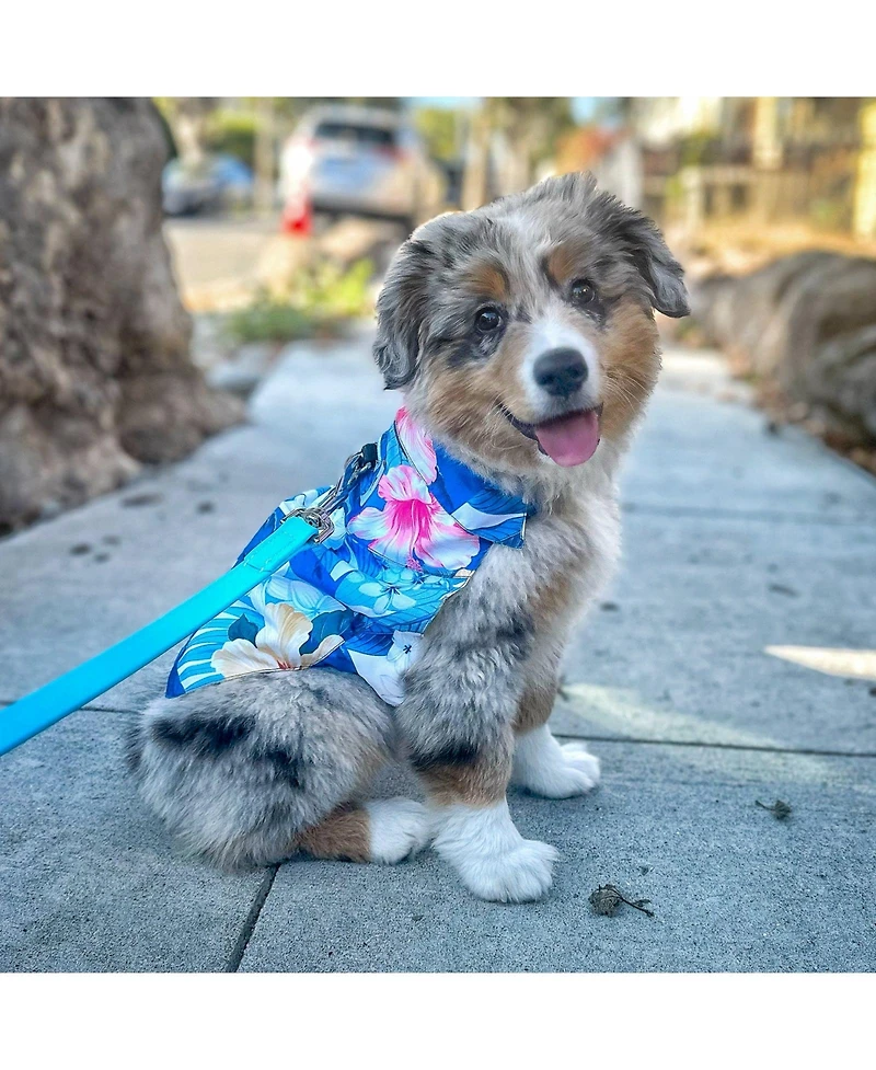 Tommy Bahama Pet Pet Tommy Bahama Pet Hawaiian Shirt & Apparel Harness