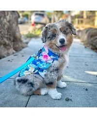 Tommy Bahama Pet Pet Tommy Bahama Pet Hawaiian Shirt & Apparel Harness