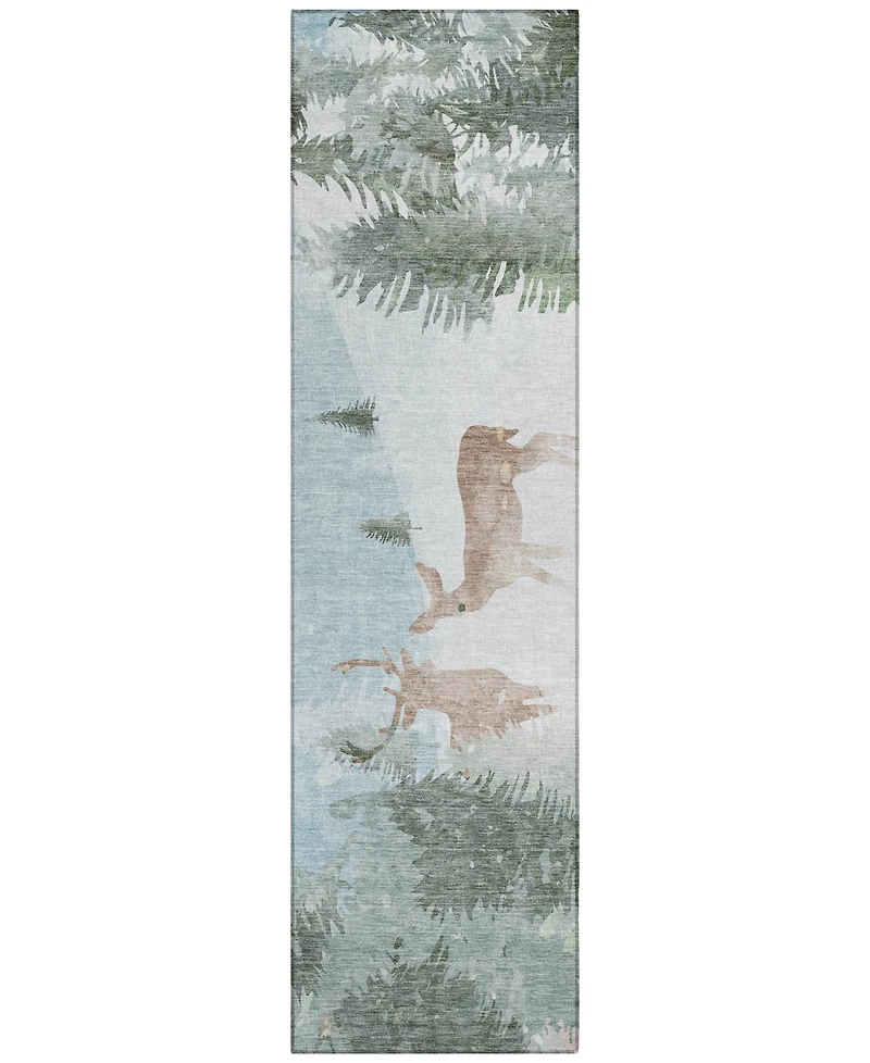 Addison Holiday Washable Indoor/Outdoor ACN1821 2'3"x7'6" Runner Area Rug