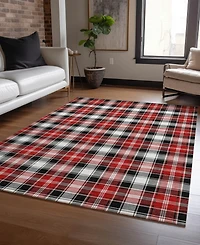 Addison Holiday Washable Indoor/Outdoor ACN1817 2'6"x3'10" Area Rug