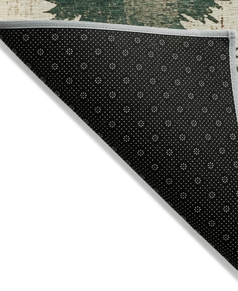 Addison Holiday Washable Indoor/Outdoor ACN1811 8'x10' Area Rug