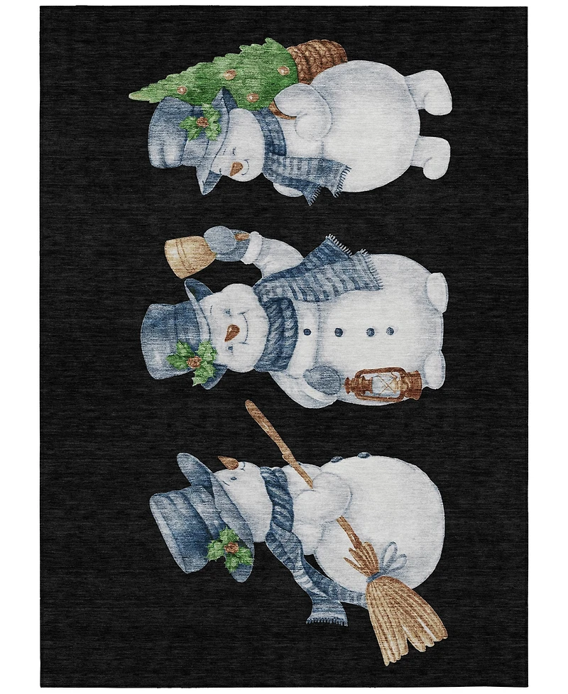 Addison Holiday Washable Indoor/Outdoor ACN1826 2'6"x3'10" Area Rug