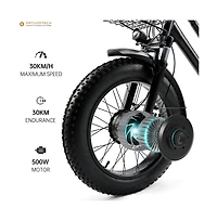 Artudatech 500W 48V 13A Electric Snow Tricycle 3 wheel e-bike 4.0 Fat Tire Tricycle