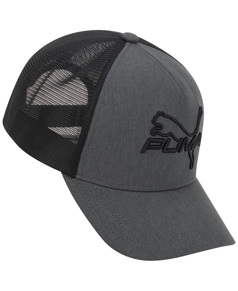 Puma Men's 3D Embroidered Logo Cap