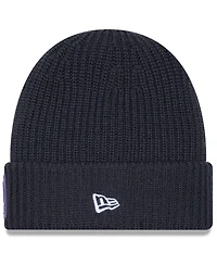 New Era Men's Charcoal Minnesota Vikings 2025 Sideline Cold Weather Cuffed Knit Hat