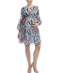 kimi + kai Maternity Nia Babydoll Dress