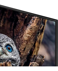 Samsung QN75Q80DDFXZA 75" Qled 4K Smart Tv with Direct Full Array (2024)