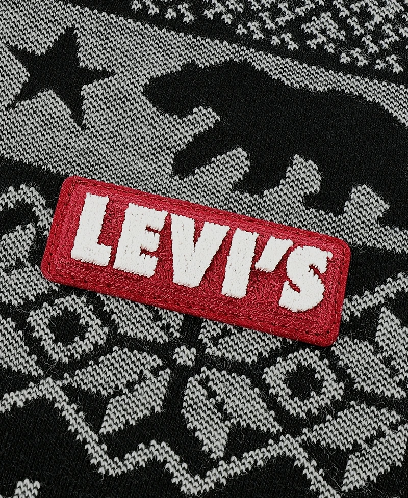 Levi's Boys 8-20 Geo Print Long-Sleeve Sweatshirt