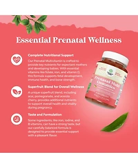Prenatal Gummies, Pineapple & Mango, 120ct