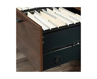 Casainc Storage File Cabinet with 2 Drawers