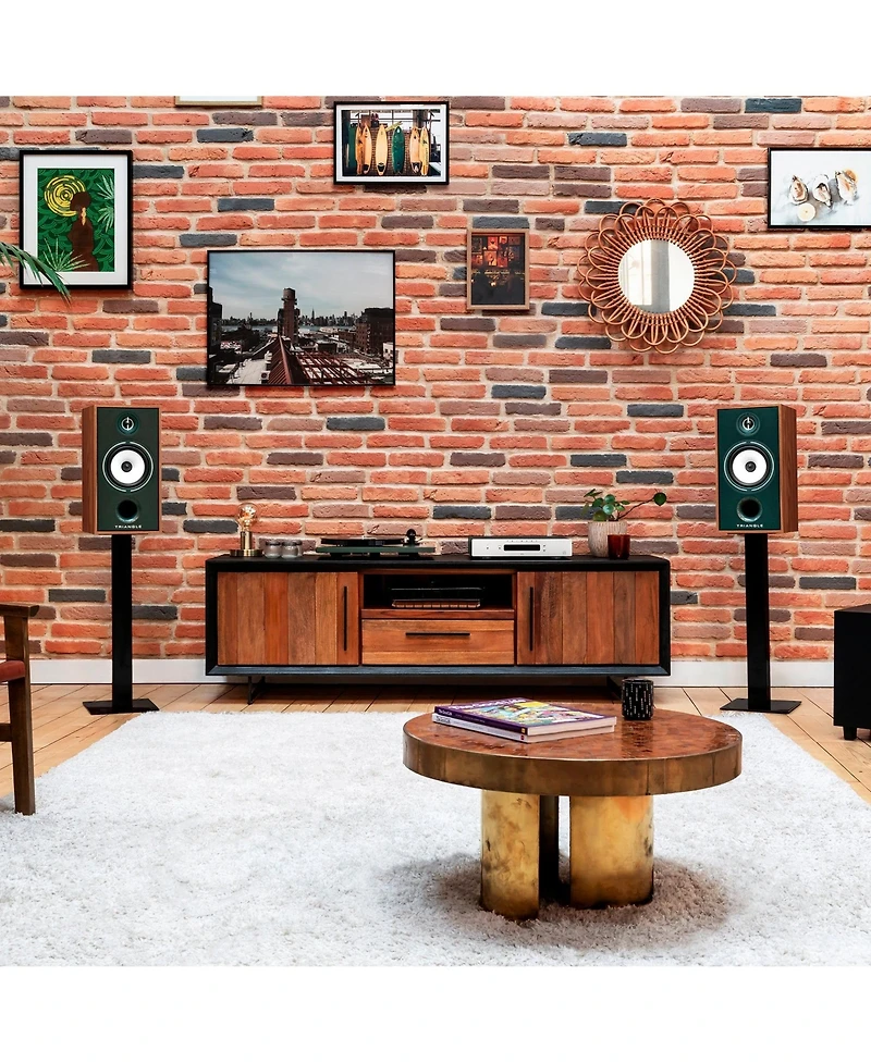 Triangle Borea BR04 Bookshelf Speakers (Pair) - Oak Green