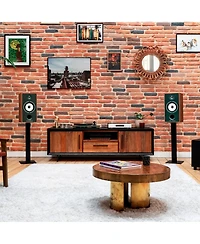 Triangle Borea BR04 Bookshelf Speakers (Pair) - Oak Green
