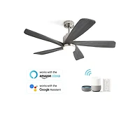 52-inch Modern Stylish Sand Nickel 5-Blade Ceiling Fan with Remote Control and Light Source
