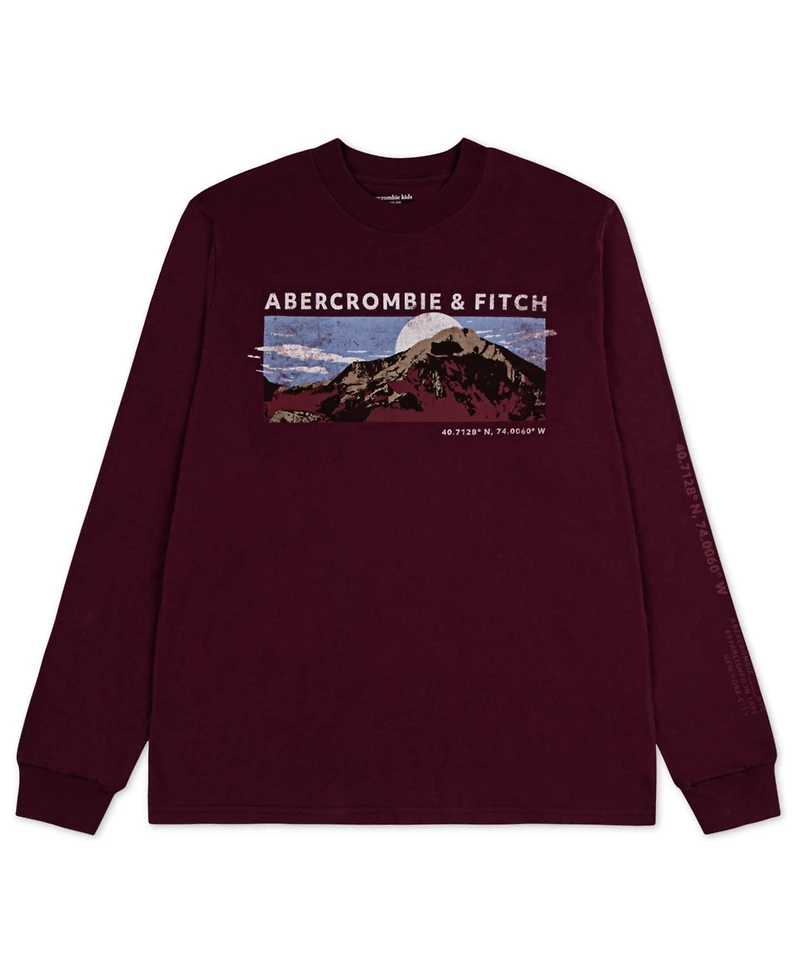abercrombie kids Boys 5-16 Mountain Range Long-Sleeve T-Shirt