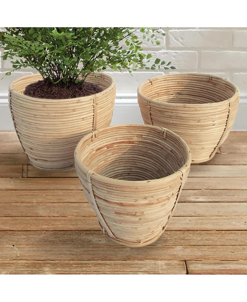 Napa Home & Garden Cane Rattan Round Tapered Baskets, Set Of 3