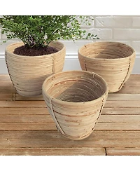 Napa Home & Garden Cane Rattan Round Tapered Baskets, Set Of 3