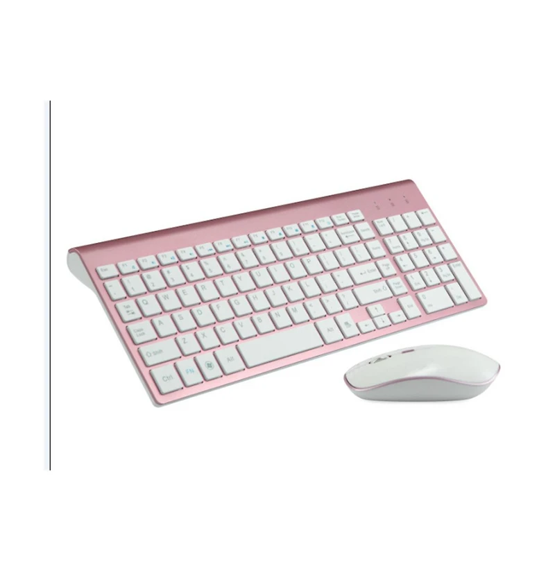Riso Ultra-Thin Silent Ergonomic Wireless Keyboard and Mouse Combo with Numeric Keys and 2.4G Receiver for Pc and Laptop