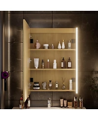 Hauschen Home 30x23inch Led Lighted Medicine Cabinet with Mirror, Dimmable, 3000K/5500K, Adjustable Shelf, Flat-Pack Design