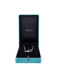 Pre-Owned Tiffany & Co. HardWear Double Link Pendant Necklace