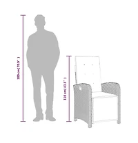 Reclining Garden Chair Brown Pe Rattan, Powder-Coated Steel