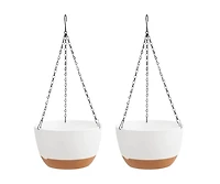 Set of 2 Hanging 10" Self-Watering Flower Pots for Indoor and Outdoor Use