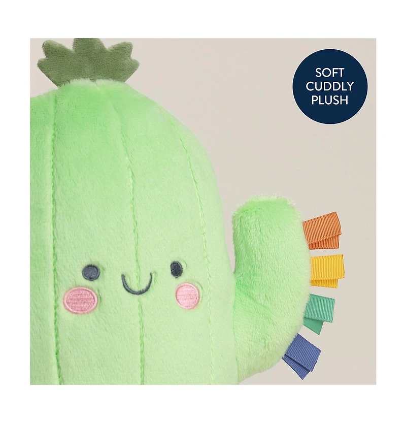 Itzy Ritzy Baby Sweetie Snuggles Cactus