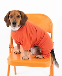 Leveret Dog Cotton Pajama Solid Orange