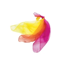 Kaplan Early Learning Musical Scarves & Physical Activity Cd Set