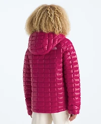 The North Face Boys and Girls Xs-xxl Hooded Jacket