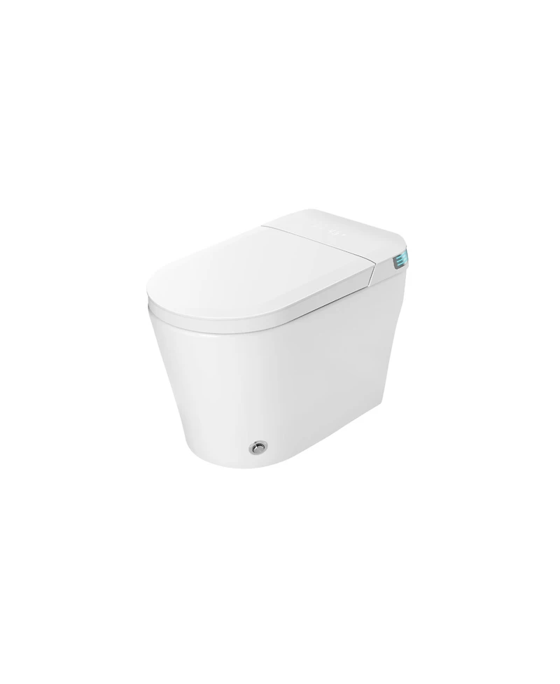 Casainc Smart One-Piece Bathroom Fixture with Built-in Tank, 4-Level Heated Seat & Warm Air Dryer