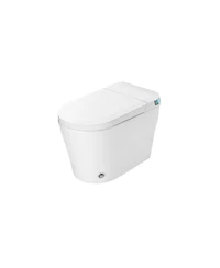 Casainc Smart One-Piece Bathroom Fixture with Built-in Tank, 4-Level Heated Seat & Warm Air Dryer