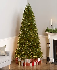 National Tree Company 7.5' "Feel Real" Jersey Fraser Medium Fir Hinged Tree with 1000 Clear Lights