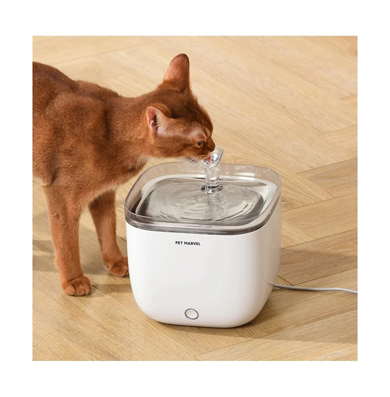 Petmarvel Automatic Cat Water Fountain Light Youth 2L/68oz