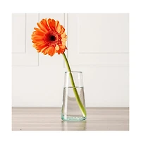 Verve Culture Champagne Glasses Clear