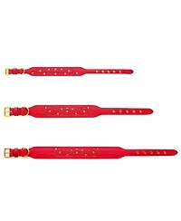 Blueberry Pet Silver-Powered Freshness Microfiber Suede Dog Collar – Embossed Classic Pattern with Bronze Studs