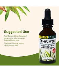 Trace Minerals Herbs Etc ChlorOxygen, 1 Fz