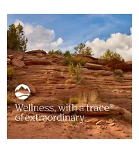 Trace Minerals No Muscle Cramps | Promotes Normal Muscle Function, Stamina and Electrolyte Balance | Magnesium, Potassium, Sodium Dietary Supplement |