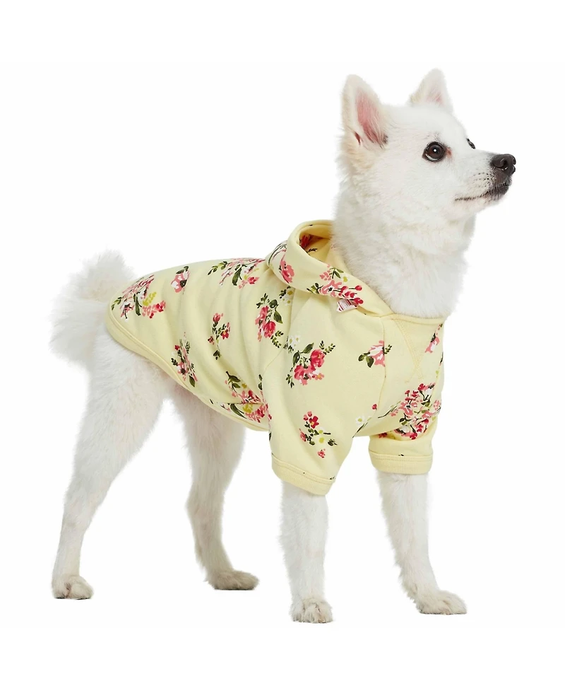 Blueberry Pet French Terry Knit English Rose Dog Sweatshirt and Hoodie