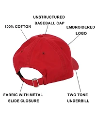 Harry Potter Men's Gryffindor Alumni Adult Unstructured Baseball Cap