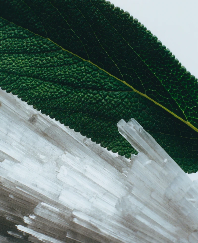 Jo Malone London 2-Pc. Home Candle Gift Set