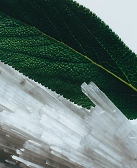 Jo Malone London 2-Pc. Home Candle Gift Set