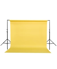 Savage Widetone Seamless Background Paper, 86" wide x 36' Bundle with Flashpoint 10' Background Support System Air Cushioned.