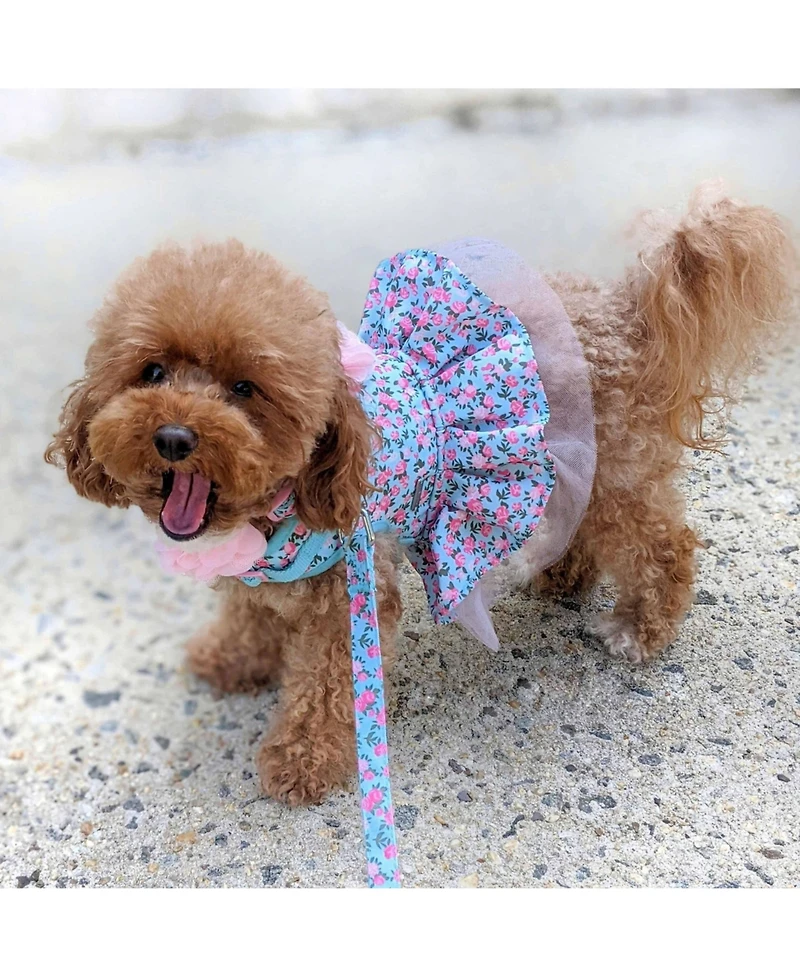 Blueberry Pet Made Well Floral Print Dog Leash Light Blue 5 Ft Small