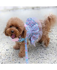 Blueberry Pet Made Well Floral Print Dog Leash Light Blue 5 Ft Small